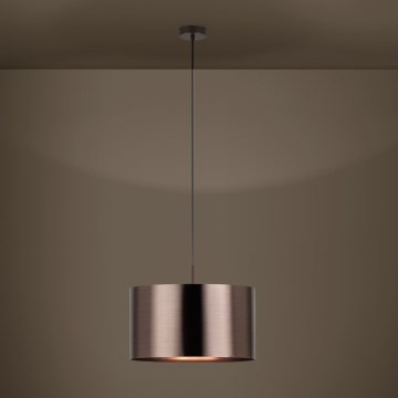 Eglo - Lühter 1xE27/60W/230V vask