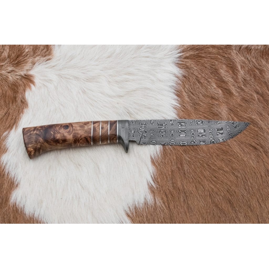 Eksklusiivne damaskuse nuga 14,4 cm kastan/mammuti hammas