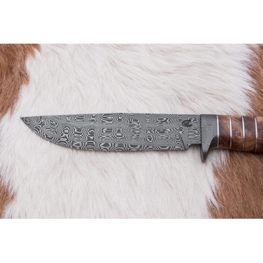 Eksklusiivne damaskuse nuga 14,4 cm kastan/mammuti hammas