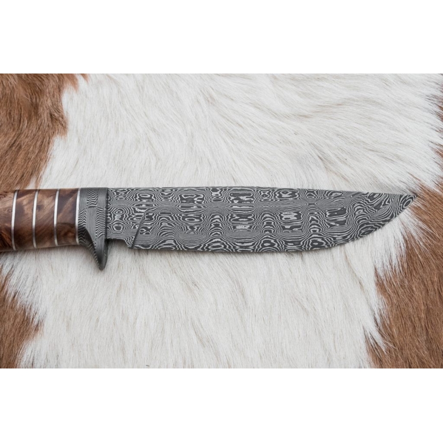 Eksklusiivne damaskuse nuga 14,4 cm kastan/mammuti hammas
