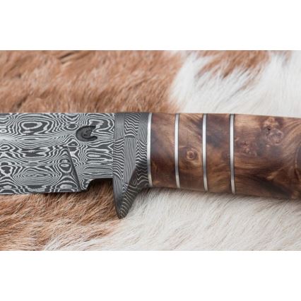 Eksklusiivne damaskuse nuga 14,4 cm kastan/mammuti hammas