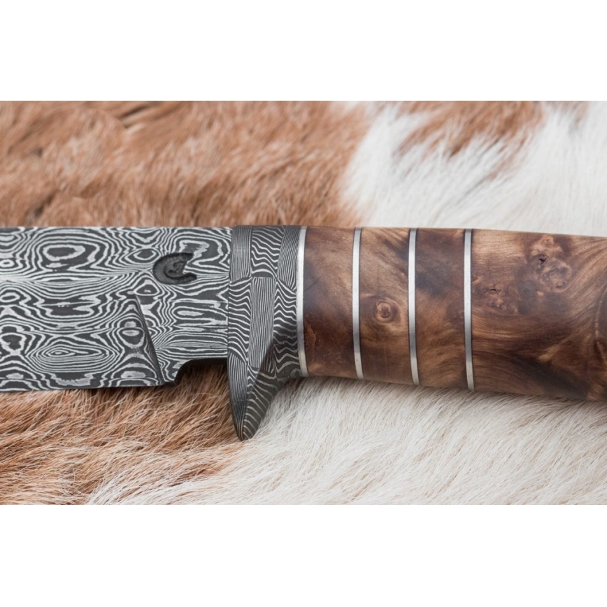 Eksklusiivne damaskuse nuga 14,4 cm kastan/mammuti hammas