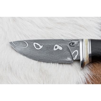 Eksklusiivne damaskuse nuga 8,6 cm tamm/kaamli luu