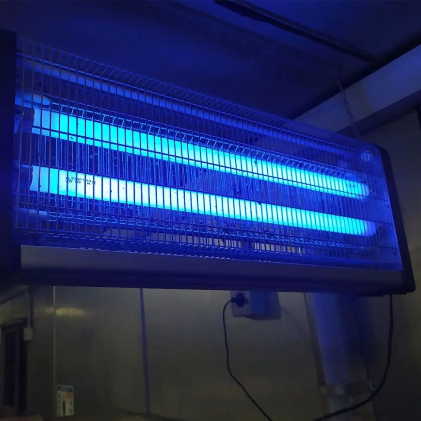 Elektriline putukapüüdja 2x15W/230V 100m2