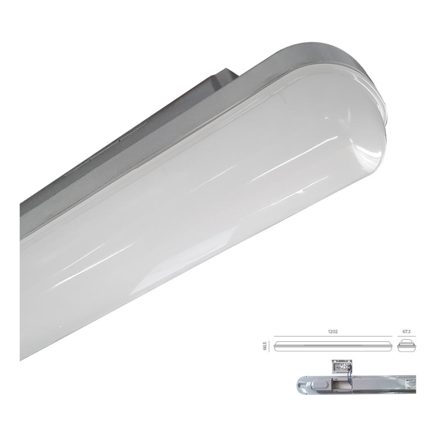 Emithor 31602 - LED Tehniline valgusti ELMINA LED/36W/230V IP65