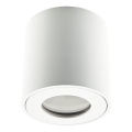 Emithor 48620 - Kohtvalgusti vannituppa ALMAN 1xGU10/35W/230V IP44 ümmargune valge
