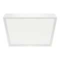 Emithor 49054 - LED Vannitoa laevalgusti LENYS LED/30W/230V 280 cm IP44