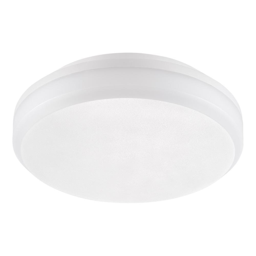 Emithor 63206 - LED-töövalgusti lakke SURFACE 1xLED/20W/230V IP65