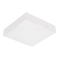 Emithor 63215 - pinnapealne LED-laelamp 10W/230V