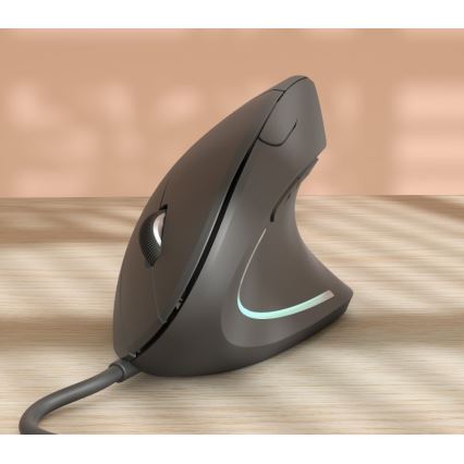 Ergonoomiline hiir 1000/1600 DPI 6 nuppu