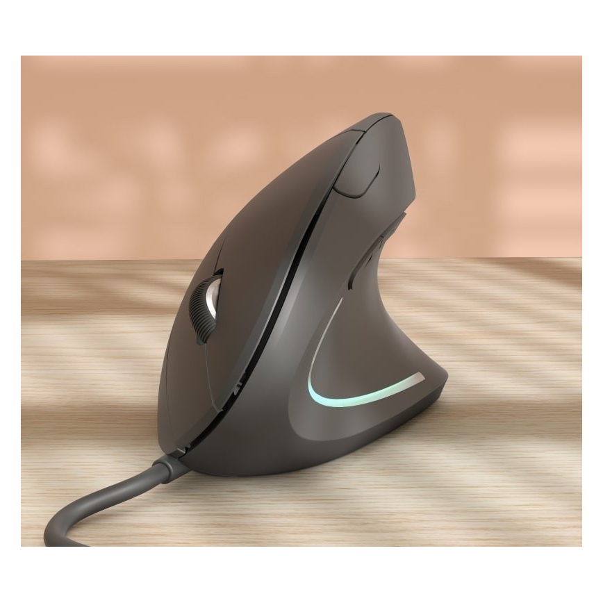 Ergonoomiline hiir 1000/1600 DPI 6 nuppu