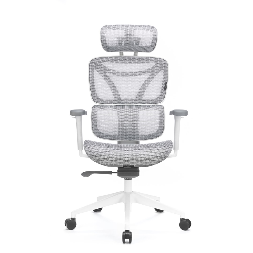 Ergonoomiline kontoritool LEVANO hall/valge/must