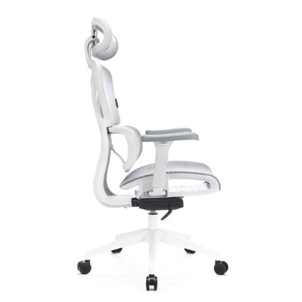 Ergonoomiline kontoritool LEVANO hall/valge/must