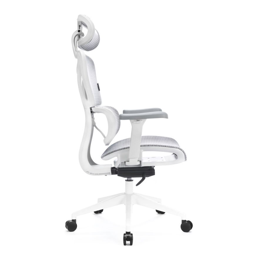 Ergonoomiline kontoritool LEVANO hall/valge/must