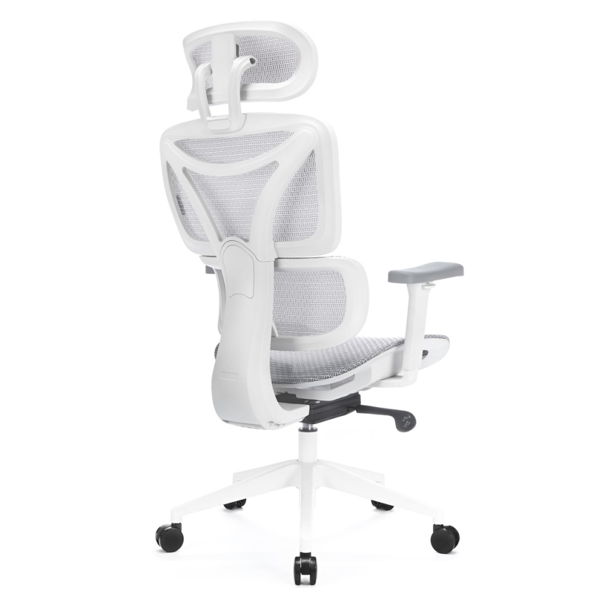 Ergonoomiline kontoritool LEVANO hall/valge/must