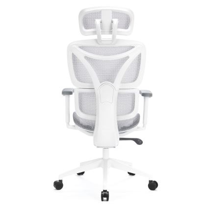 Ergonoomiline kontoritool LEVANO hall/valge/must