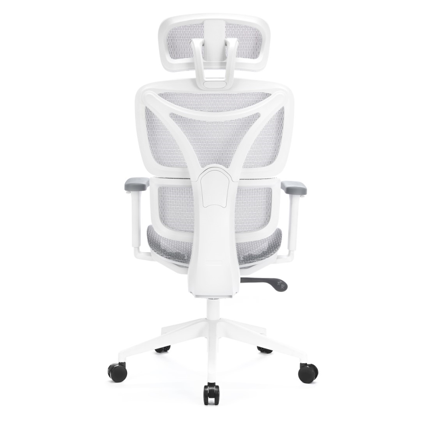 Ergonoomiline kontoritool LEVANO hall/valge/must
