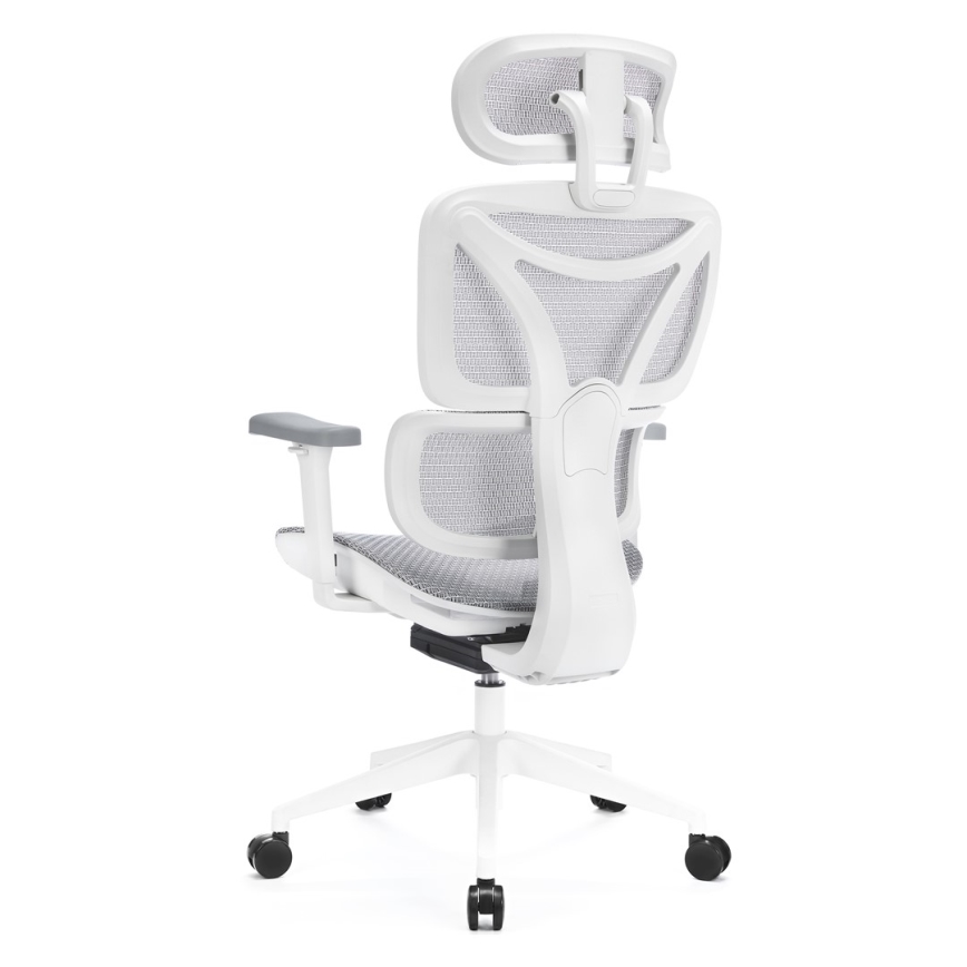 Ergonoomiline kontoritool LEVANO hall/valge/must