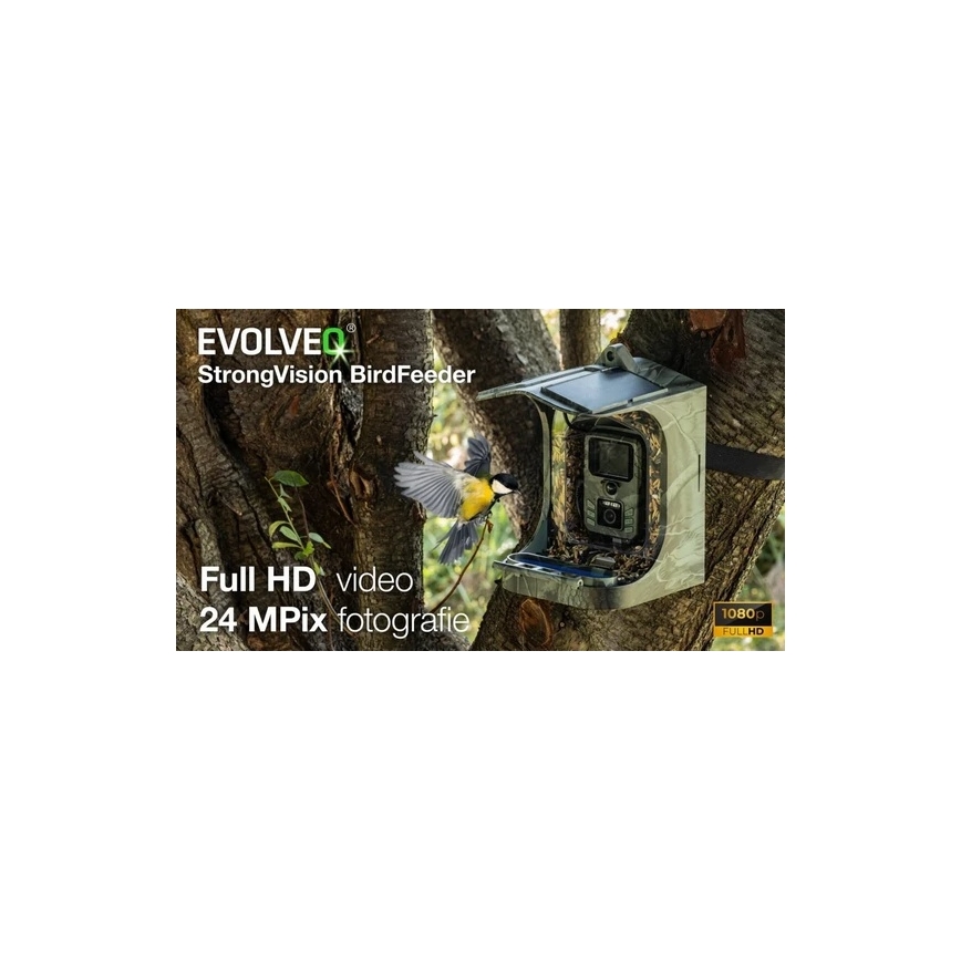 Evolveo - StrongVision BirdFeeder - nutikas linnusöötja kaameraga ja päikesepaneelidega