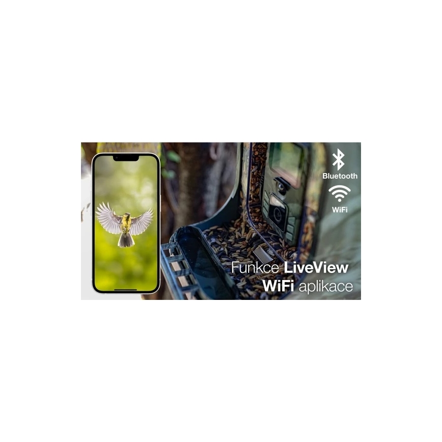 Evolveo - StrongVision BirdFeeder - nutikas linnusöötja kaameraga ja päikesepaneelidega