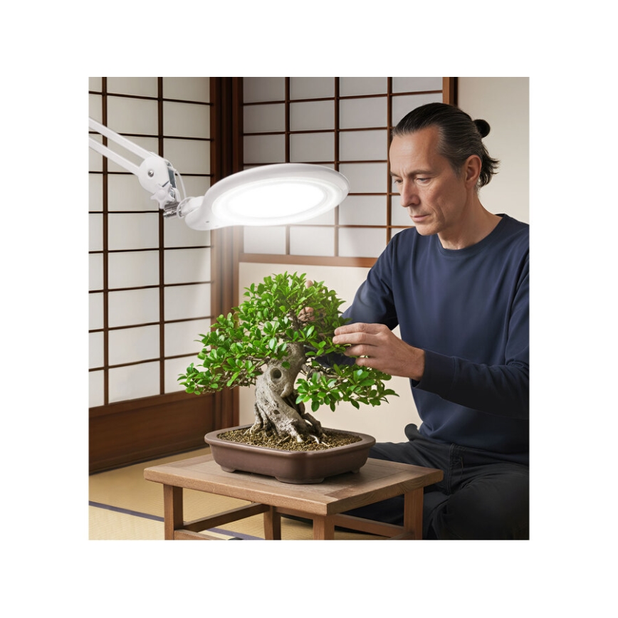 Extol - hämardatav laualamp luubiga, LED/10W/230V, valge