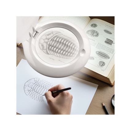 Extol - hämardatav laualamp luubiga, LED/10W/230V, valge