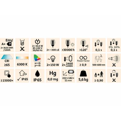 Extol - LED Prožektor alusega 2xLED/30W/230V IP65