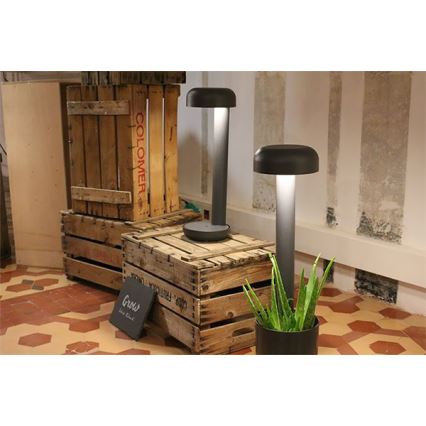 FARO 71206 - LED välisvalgusti GROW LED/9W/230V IP65