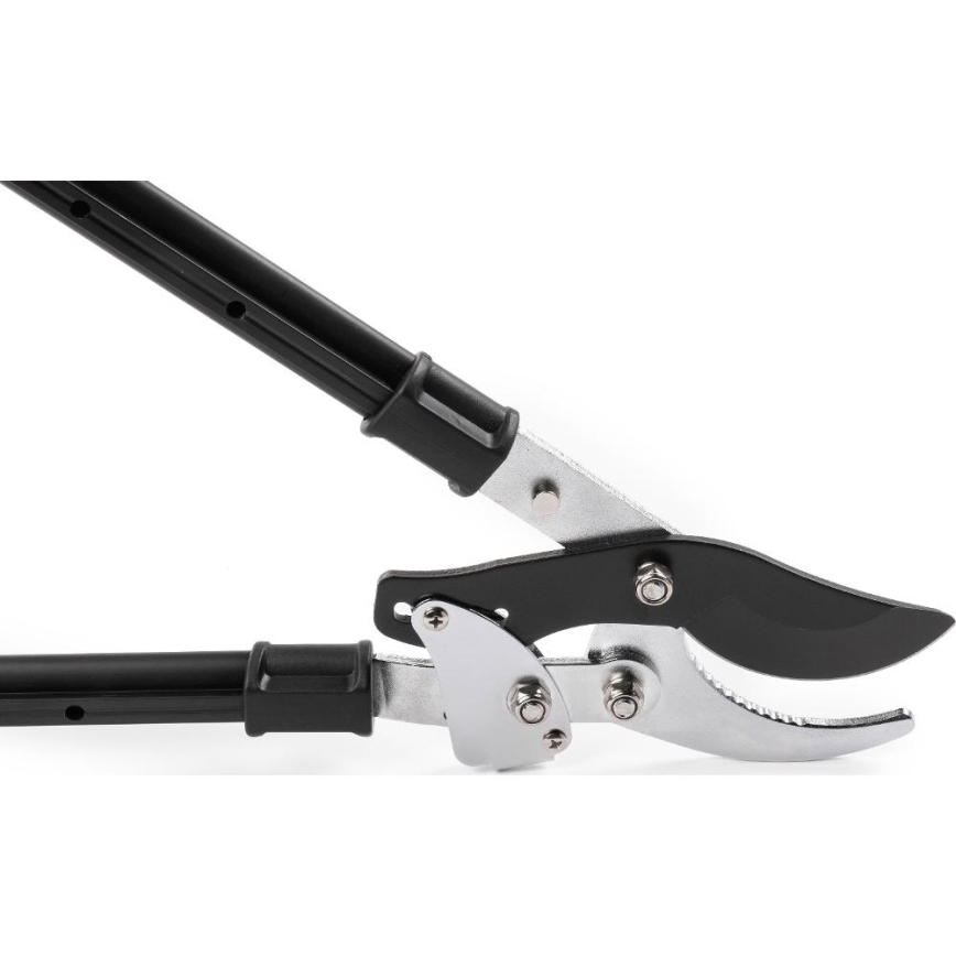 Fieldmann - teleskoopvõimendusega aiakäärid