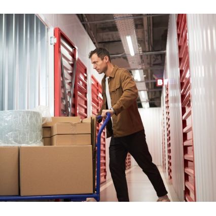 Fluoresentsvalgusti T8 DELFIA 2xG13/18W/230V 124 cm valge