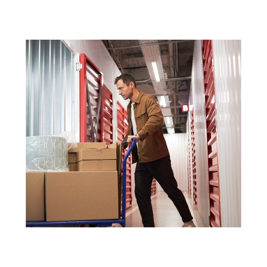 Fluoresentsvalgusti T8 DELFIA 2xG13/18W/230V 124 cm valge