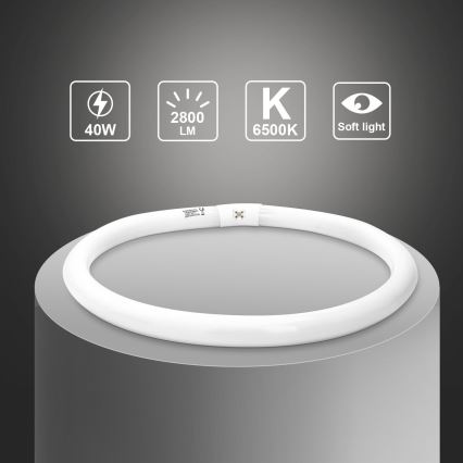 Fluorestsenttoru T9 G10q/40W/230V 6500K - Aigostar