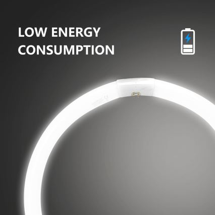 Fluorestsenttoru T9 G10q/40W/230V 6500K - Aigostar