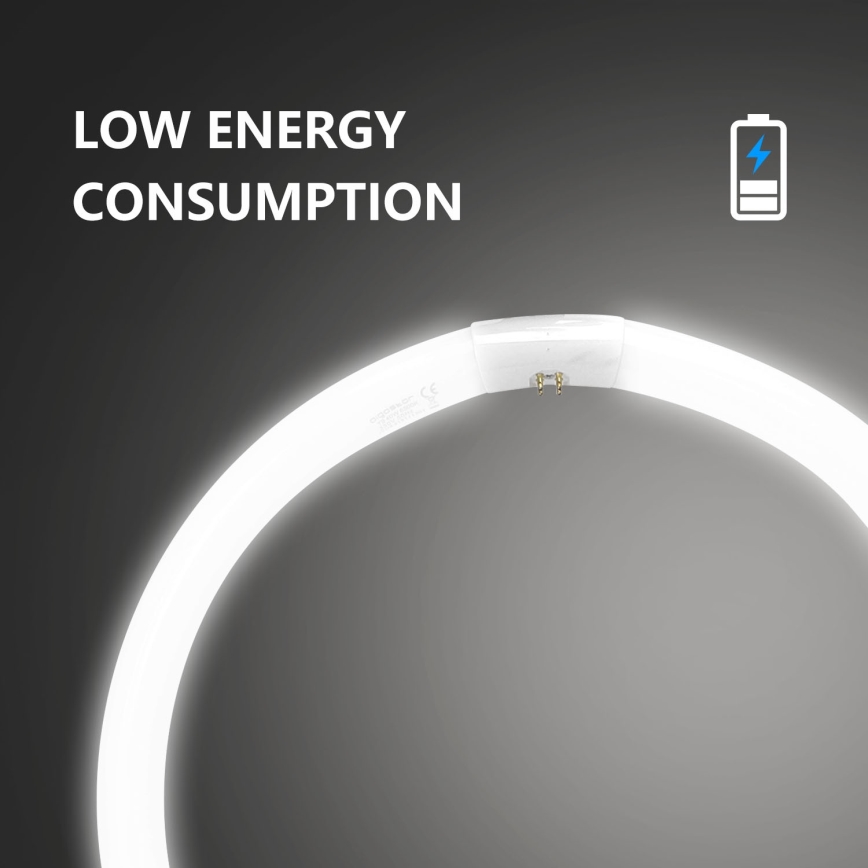Fluorestsenttoru T9 G10q/40W/230V 6500K - Aigostar