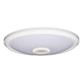 Fulgur s-39670 - LED hädavalgusti liikumis- ja hämarussensoriga DARINA LED/16W/230V, läbimõõt 29 cm