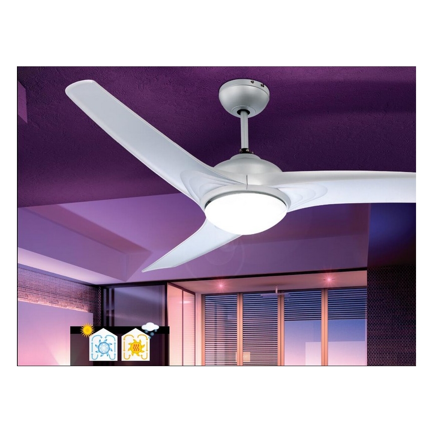 GLOBO - Laeventilaator 2xE14/40W/230V