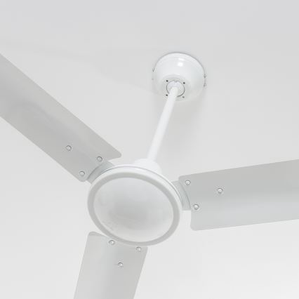 GLOBO - Laeventilaator