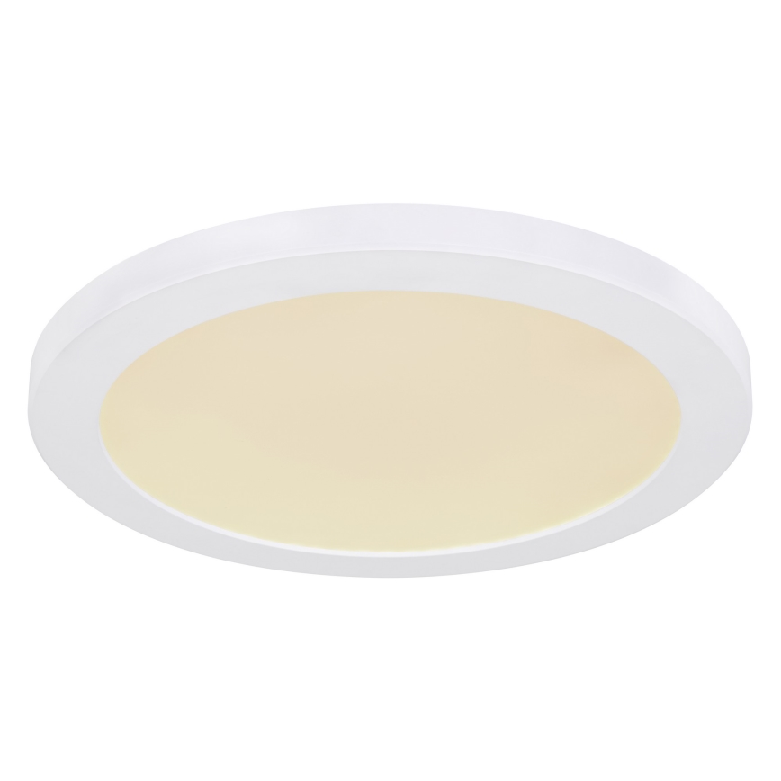 Globo - LED Laevalgusti LED/24W/230V 3000/4000/6500K valge