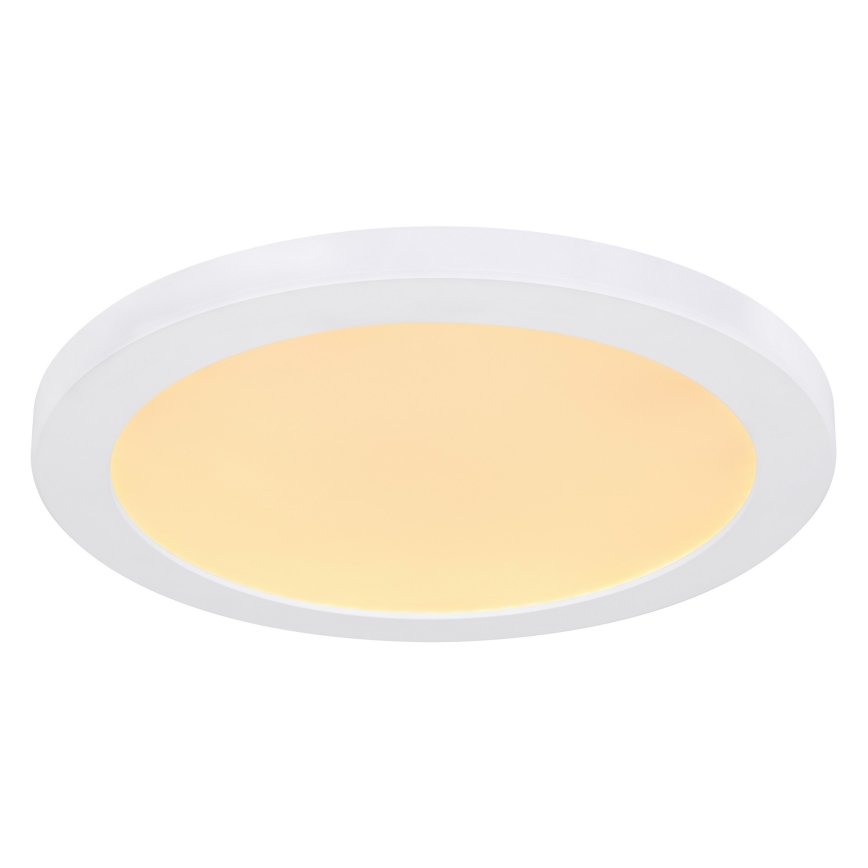 Globo - LED Laevalgusti LED/24W/230V 3000/4000/6500K valge