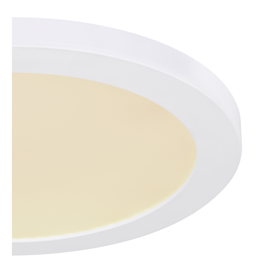 Globo - LED Laevalgusti LED/24W/230V 3000/4000/6500K valge