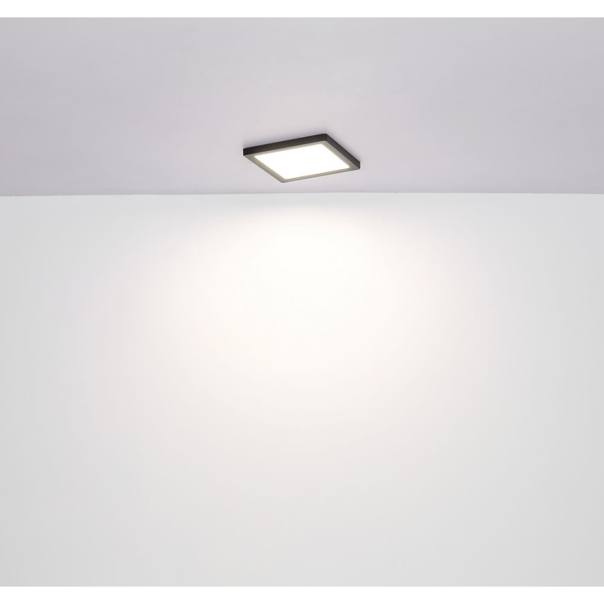 Globo - LED Laevalgusti LED/24W/230V 3000/4000/6500K must