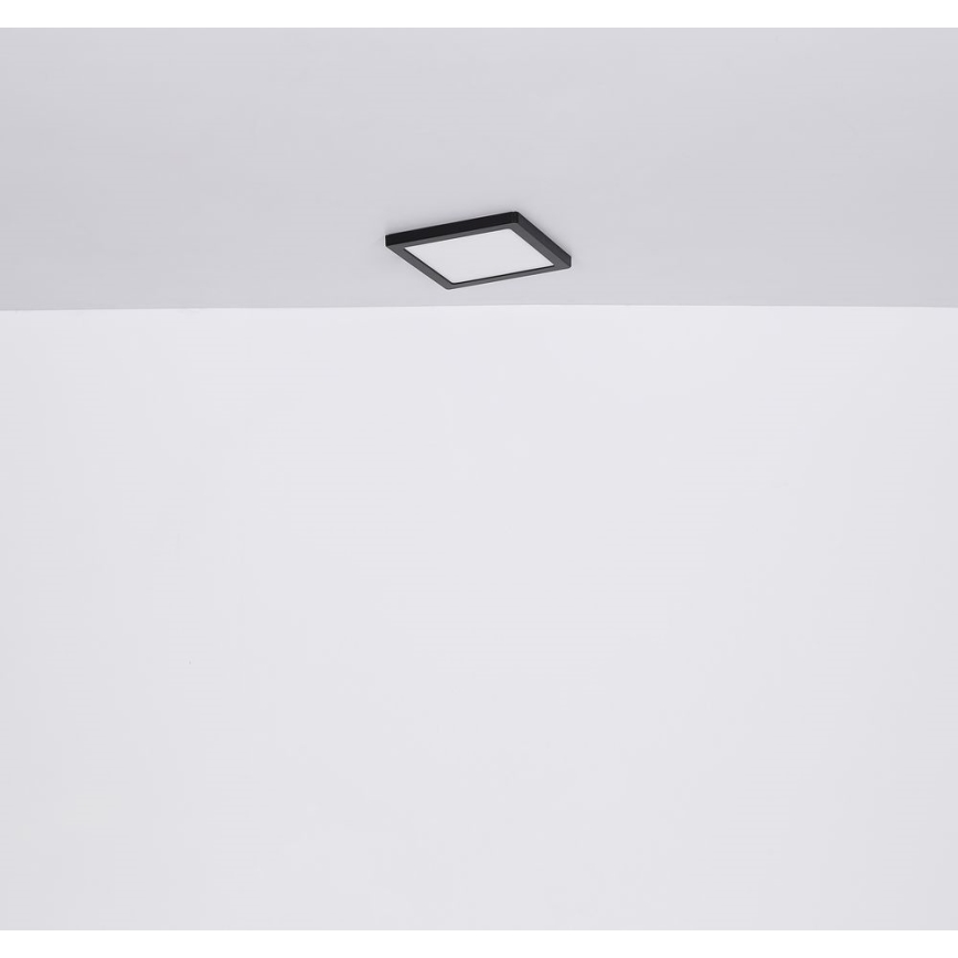 Globo - LED Laevalgusti LED/24W/230V 3000/4000/6500K must