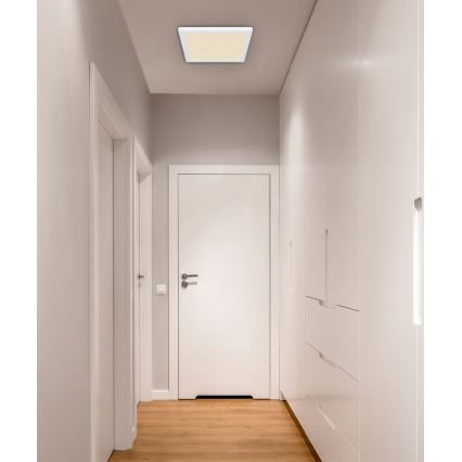 Globo - LED Laevalgusti LED/24W/230V 3000/4000/6500K valge