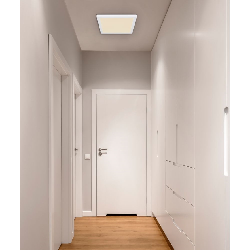 Globo - LED Laevalgusti LED/24W/230V 3000/4000/6500K valge