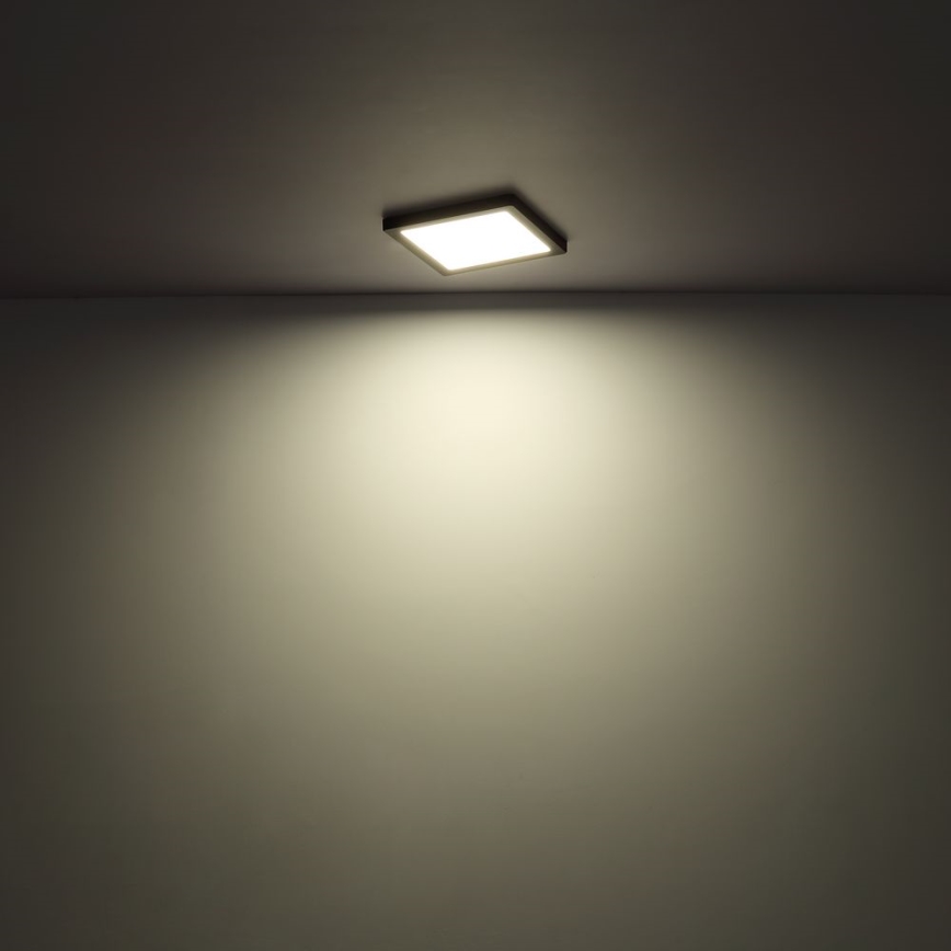 Globo - LED Laevalgusti LED/24W/230V 3000/4000/6500K valge