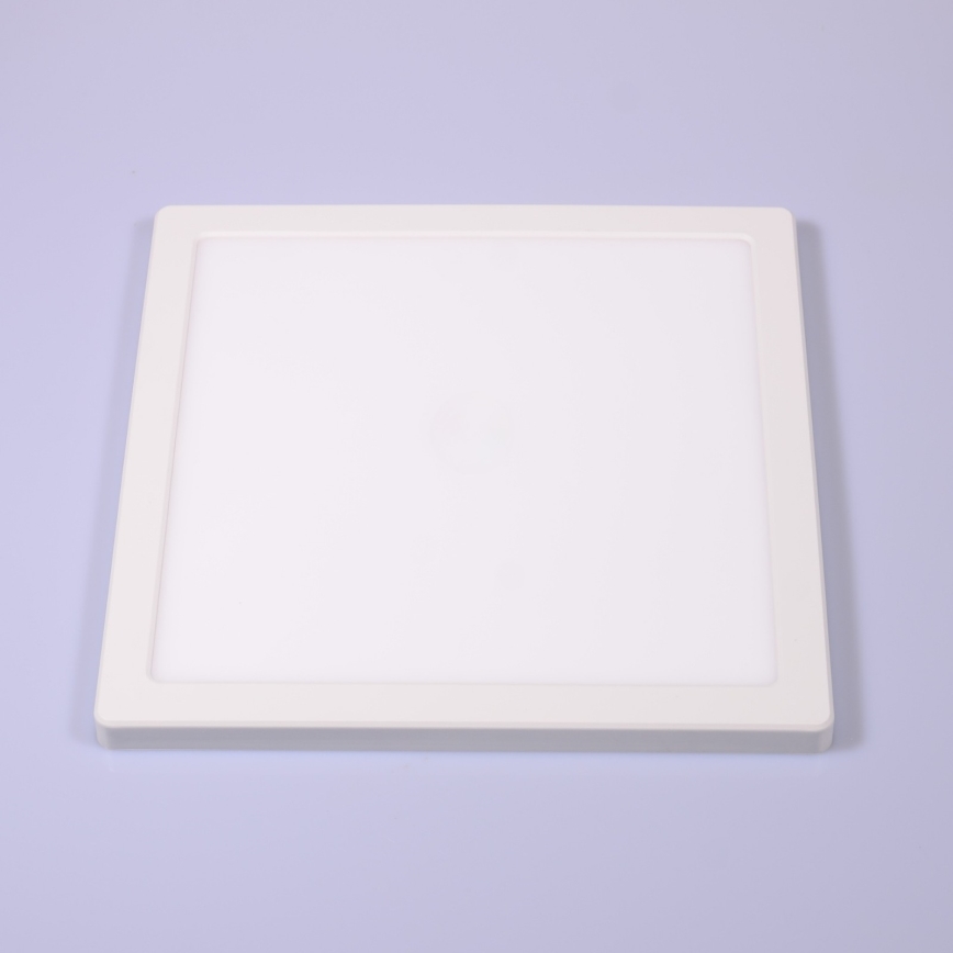 Globo - LED Laevalgusti LED/24W/230V 3000/4000/6500K valge