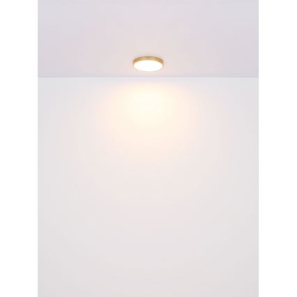 Globo - LED Laevalgusti LED/15W/230V d. 25 cm