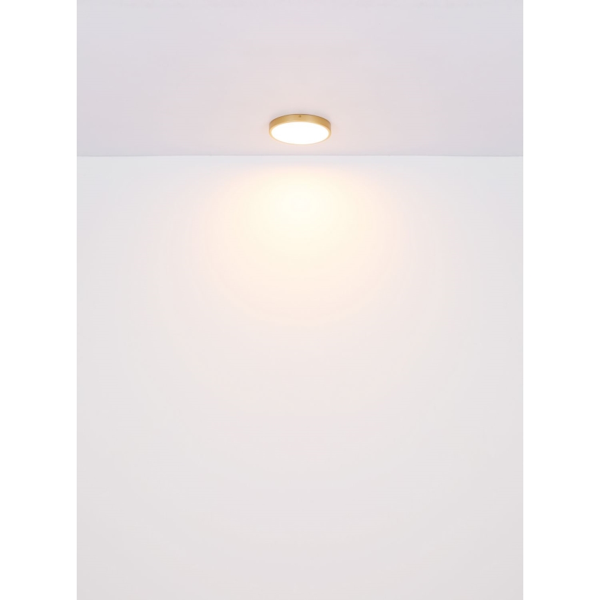 Globo - LED Laevalgusti LED/15W/230V d. 25 cm
