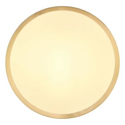 Globo - LED Laevalgusti LED/15W/230V d. 25 cm