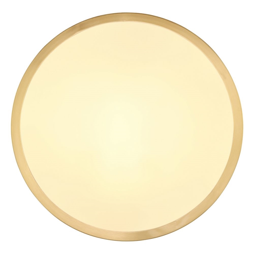 Globo - LED Laevalgusti LED/15W/230V d. 25 cm
